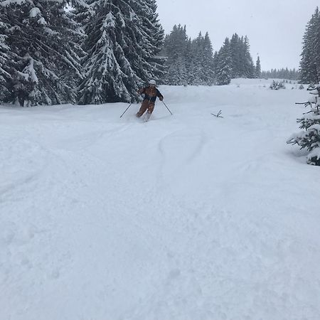 Appartement Alpendomizil Pia à Mühlbach am Hochkönig Extérieur photo