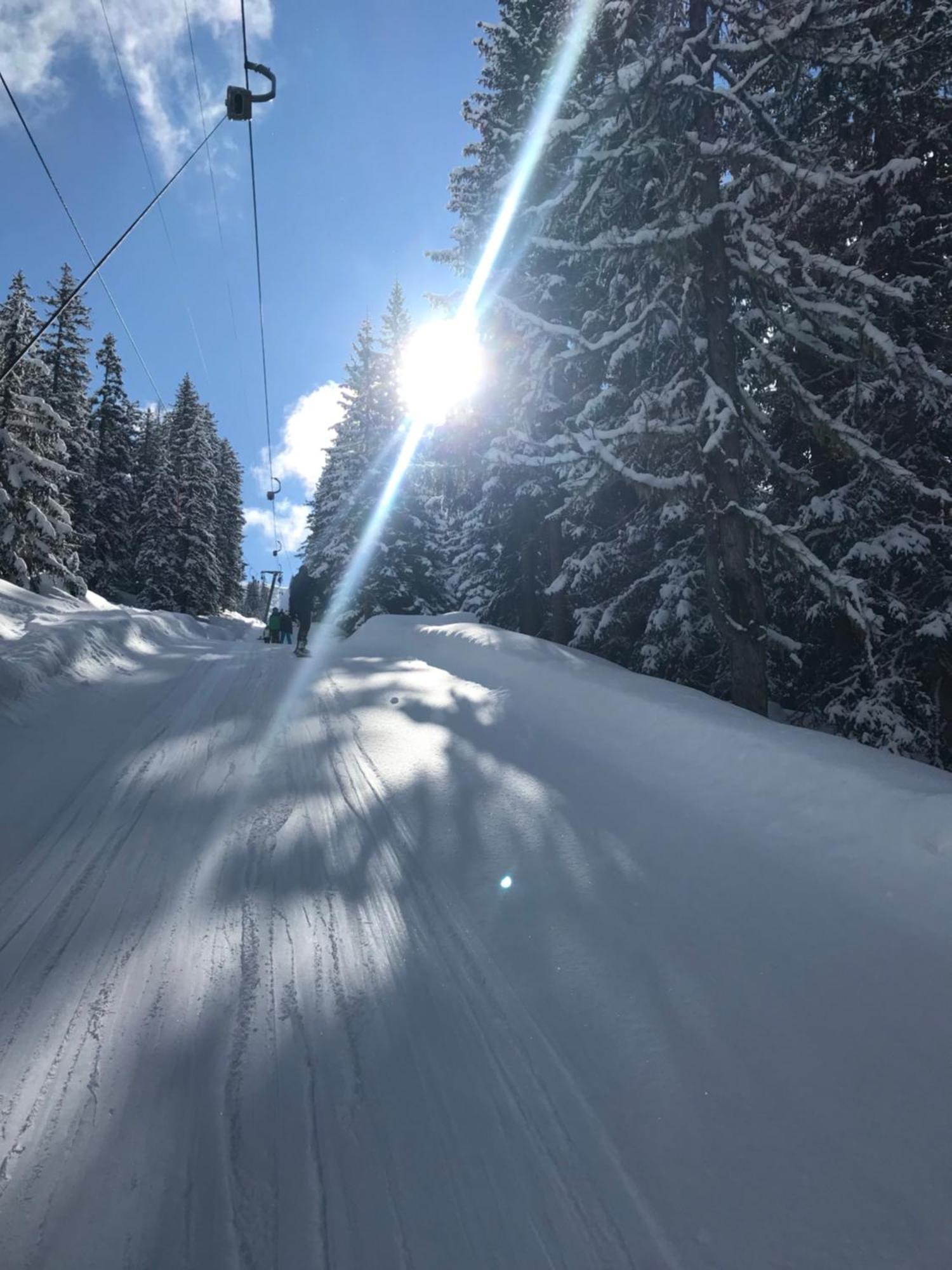 Appartement Alpendomizil Pia à Mühlbach am Hochkönig Extérieur photo